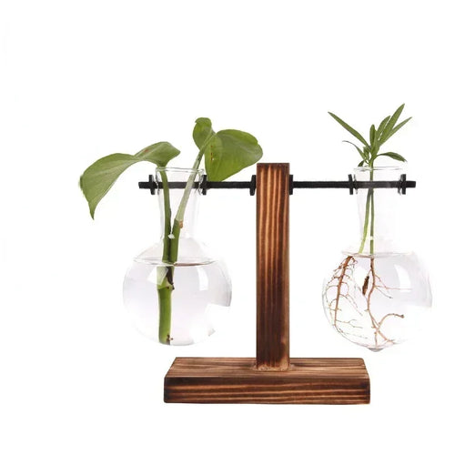 AquaFrame™ Hydroponic Terrarium Vase