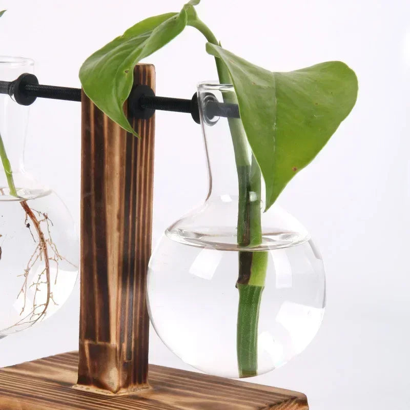 AquaFrame™ Hydroponic Terrarium Vase