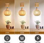 SoraLight™ Japanese Hanging Lantern
