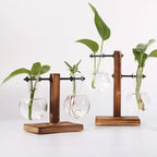 AquaFrame™ Hydroponic Terrarium Vase