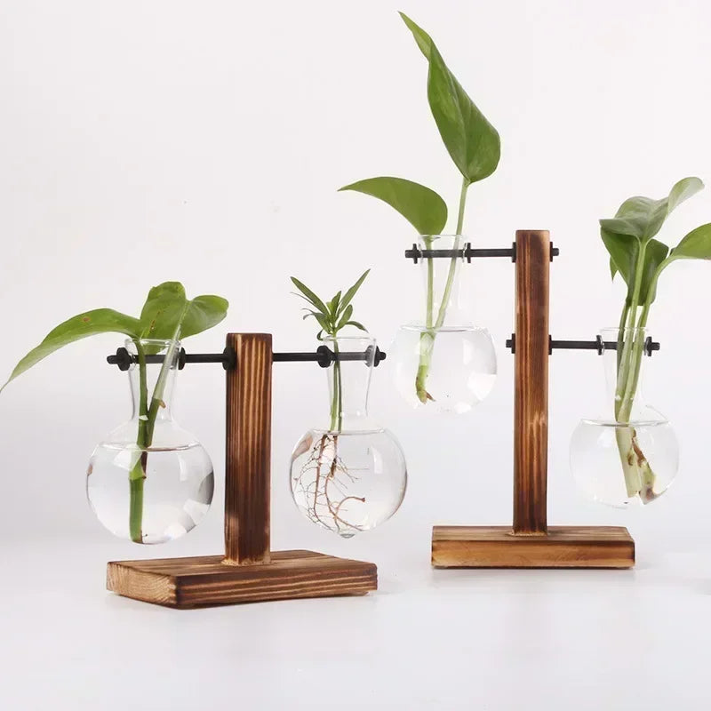AquaFrame™ Hydroponic Terrarium Vase