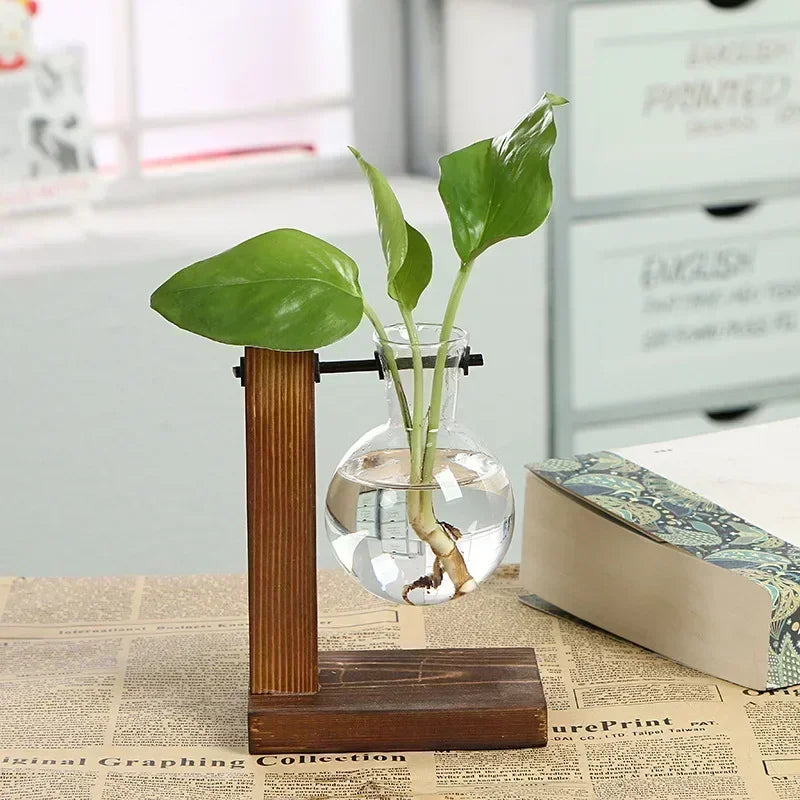 AquaFrame™ Hydroponic Terrarium Vase