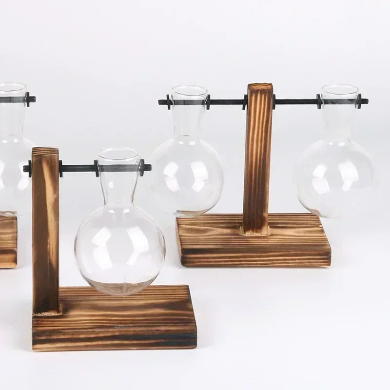 AquaFrame™ Hydroponic Terrarium Vase