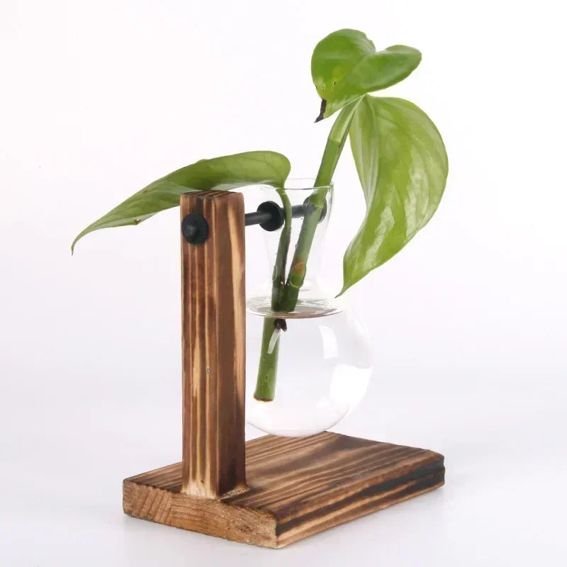 AquaFrame™ Hydroponic Terrarium Vase