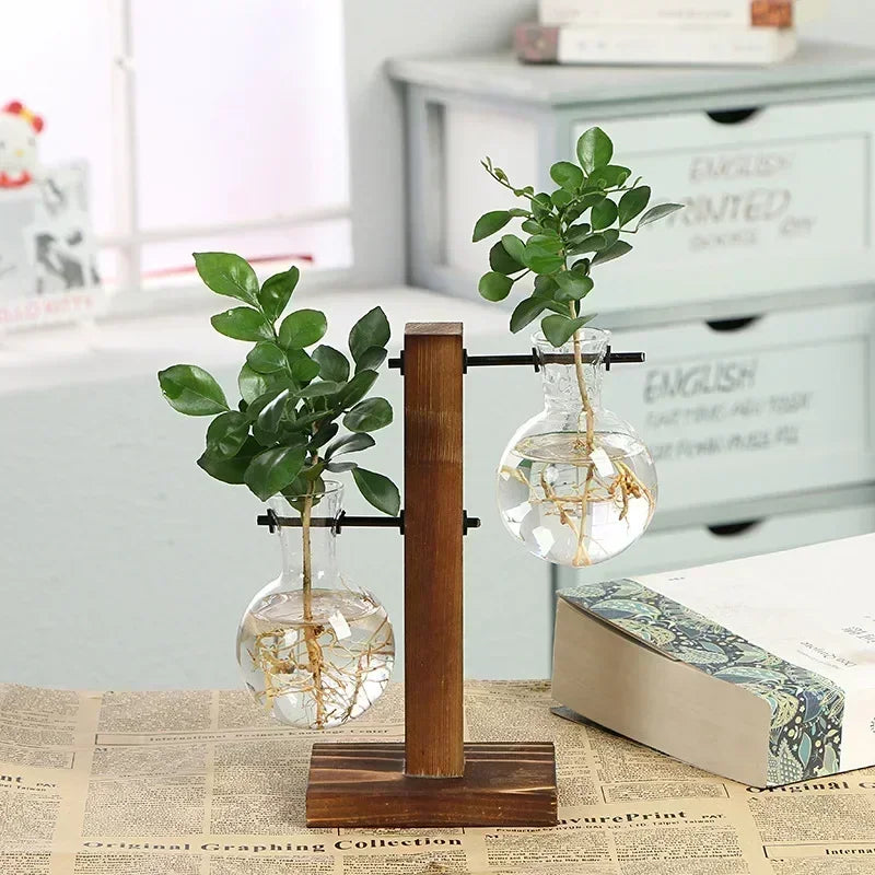AquaFrame™ Hydroponic Terrarium Vase
