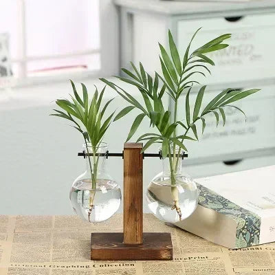 AquaFrame™ Hydroponic Terrarium Vase